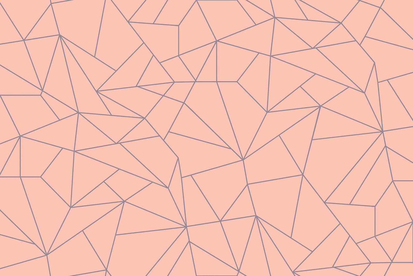 Fractal, Salmon, Coordonne
