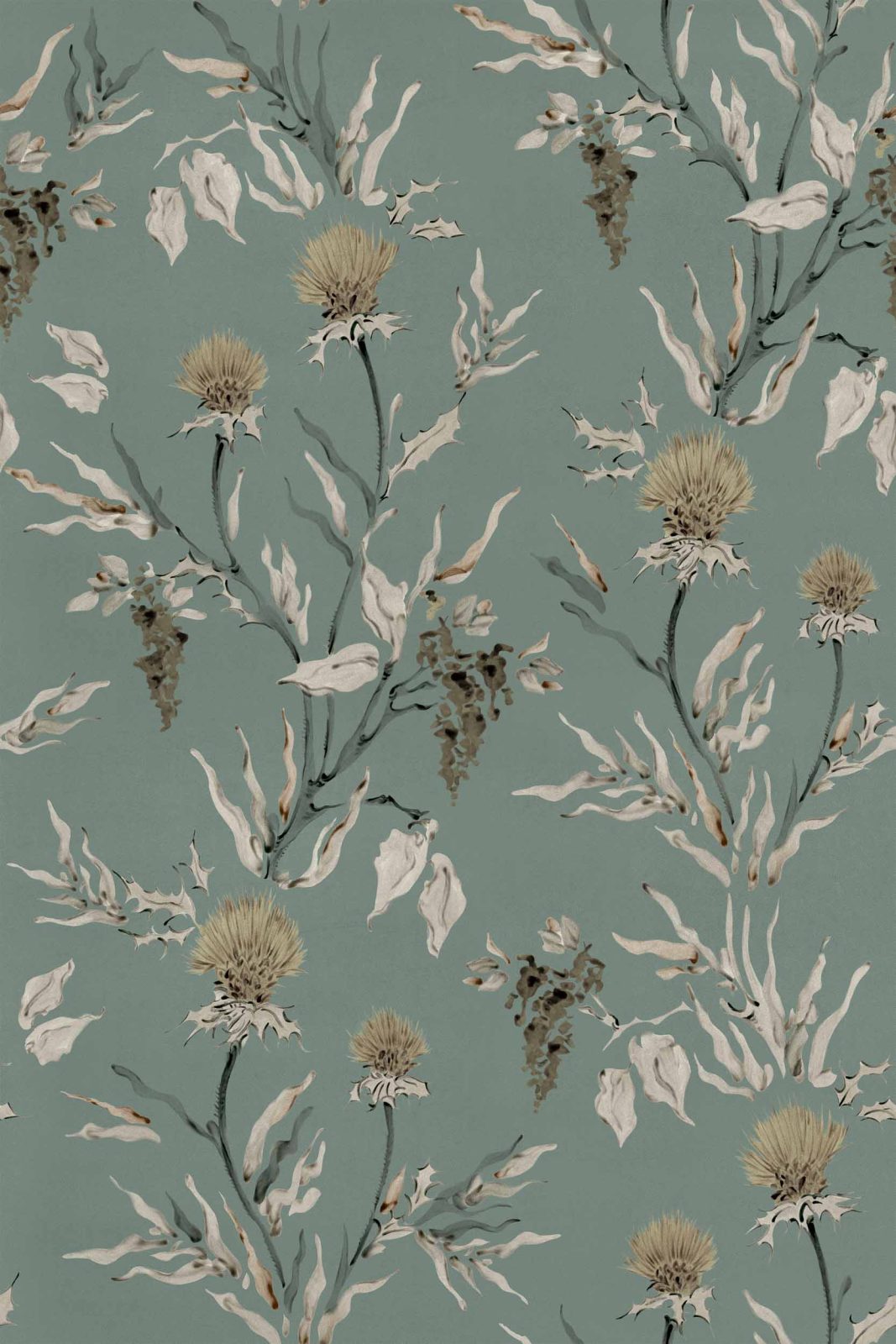 Silvestre, Sage, Coordonne 5mp / rola