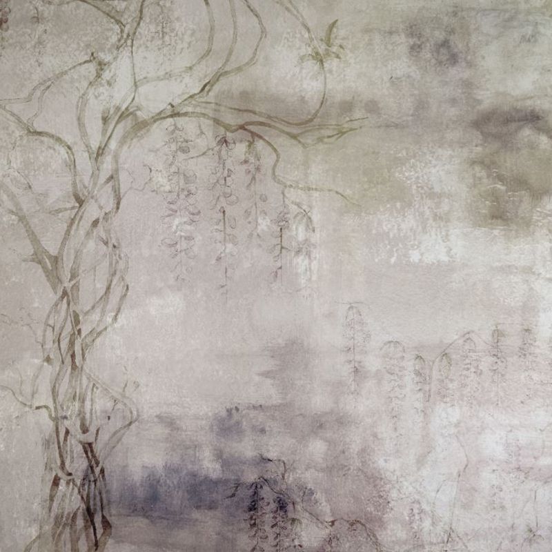 Wisteria, VLAdiLA