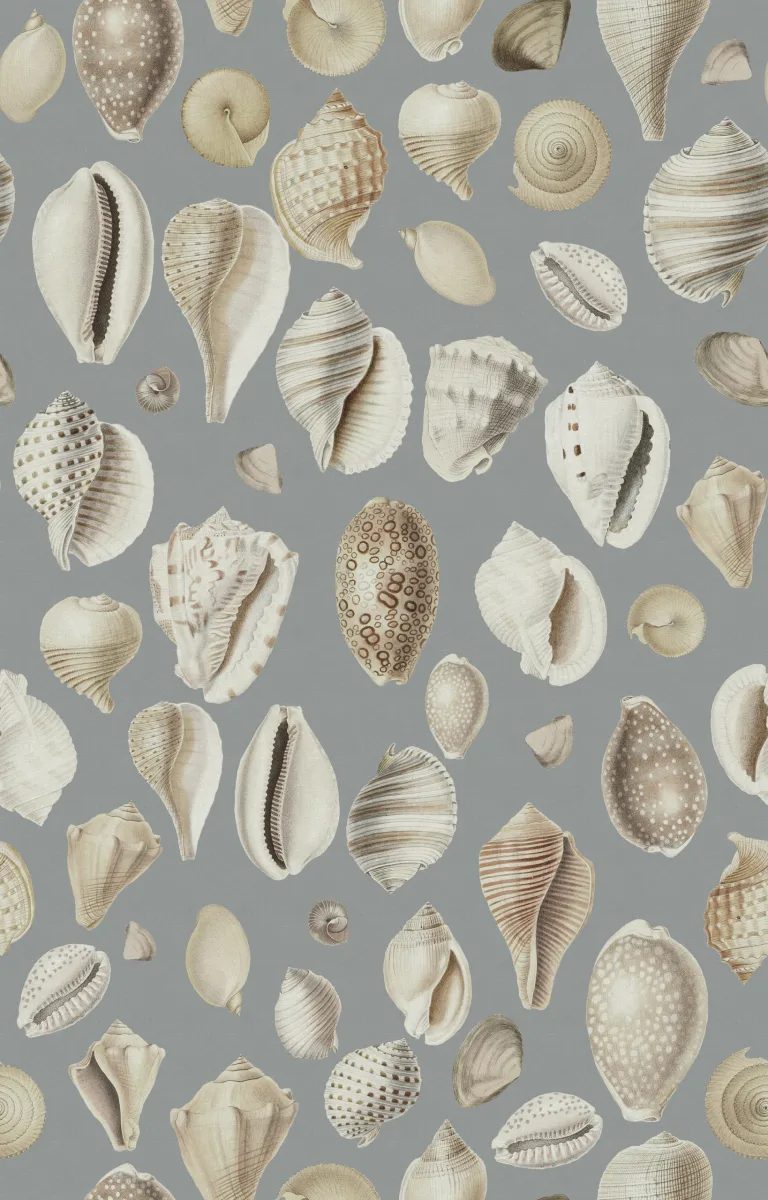 Ocean Shells, Blue, Rebel Walls