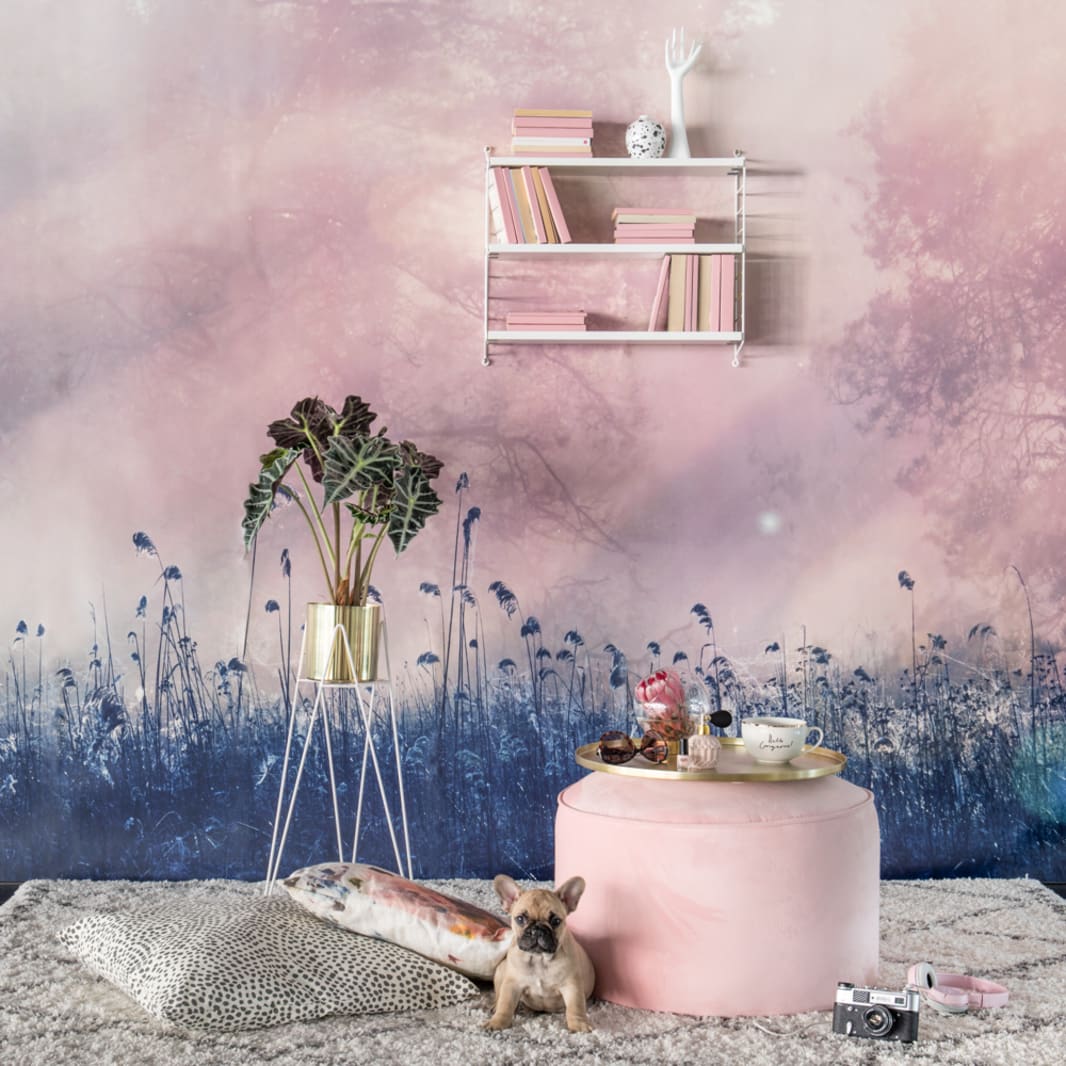 Pink Dawn, Rebel Walls 3