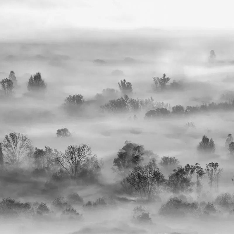 Foggy Landscape Grey, VLAdiLA