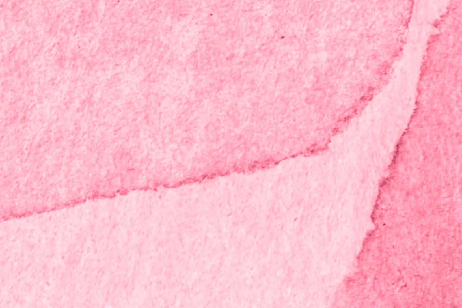 Petals, Magenta, Rebel Walls 4