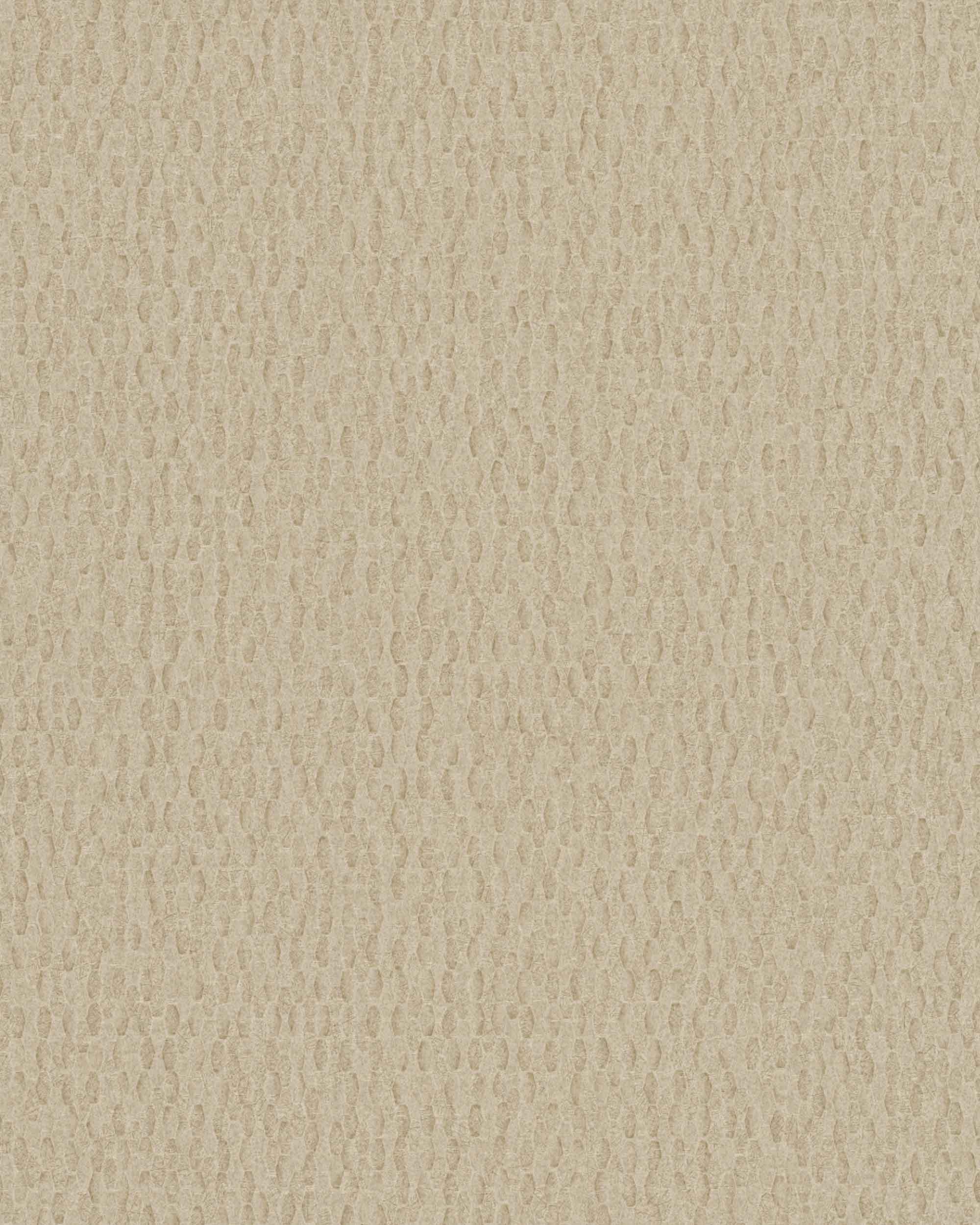 Iguana Sand, 6454839, Coordonne