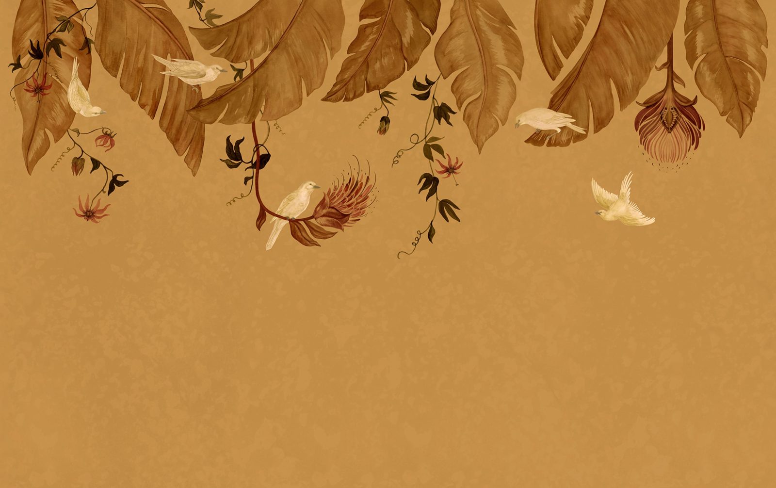 Birds in the Trees, Orange, Rebel Walls