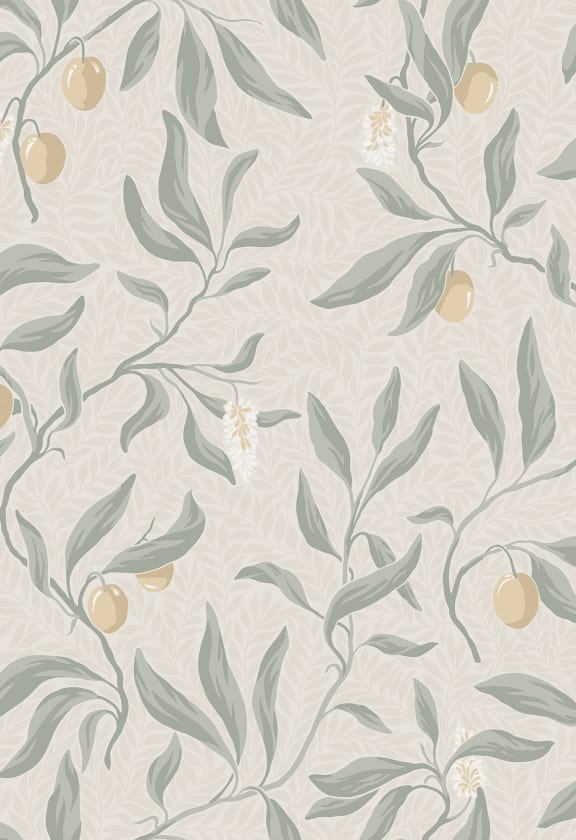 Vinnie, Sage Green, Sandberg, 5.3mp / rola