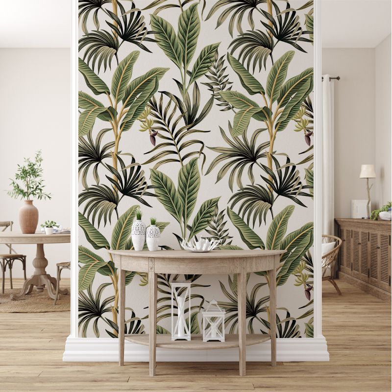 Tropical light, VLAdiLA 5