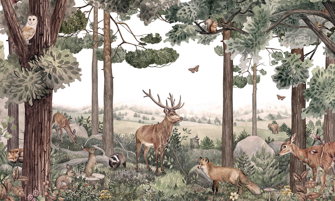 Forest Jive, Kikki Belle
