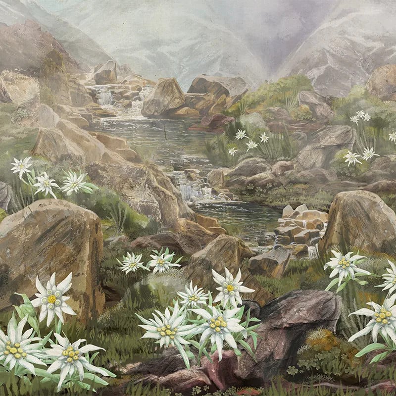 Elysium, VLAdiLA 5