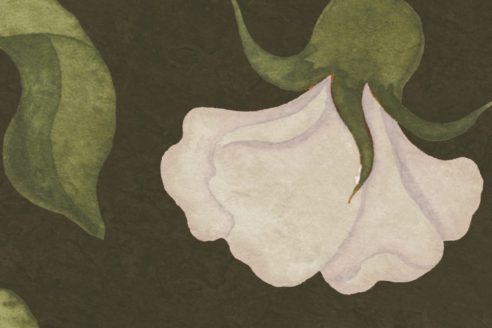 Soft Vines, Dark Green, Rebel Walls 4