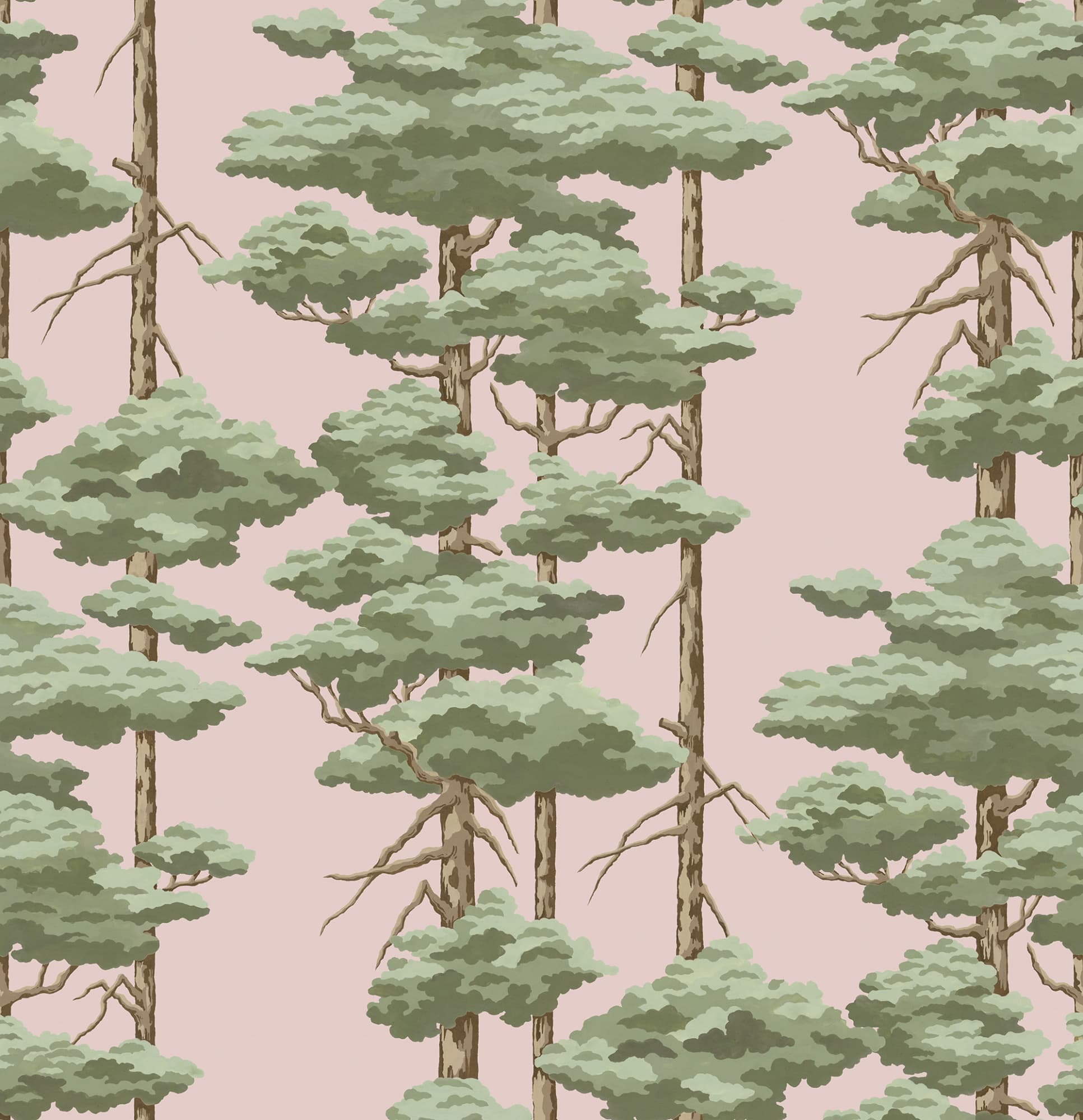Highland Pines, Pink, Rebel Walls