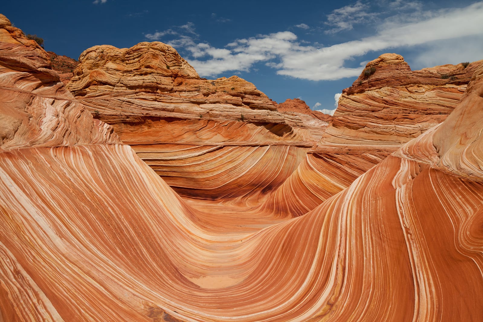 Arizona, Rebel Walls