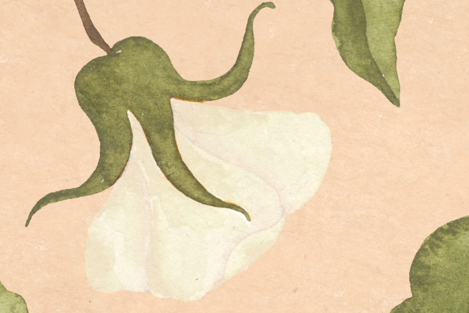 Soft Vines, Pink, Rebel Walls 4