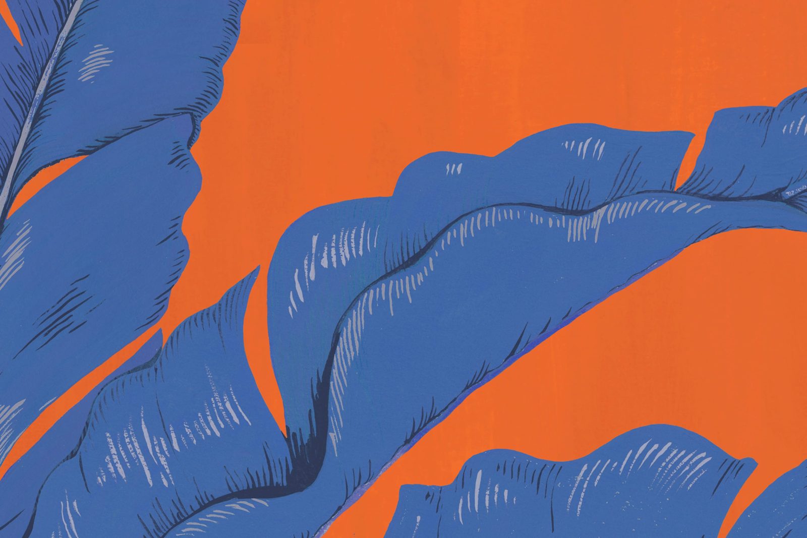 Savanna Chic, Orange, Rebel Walls 4