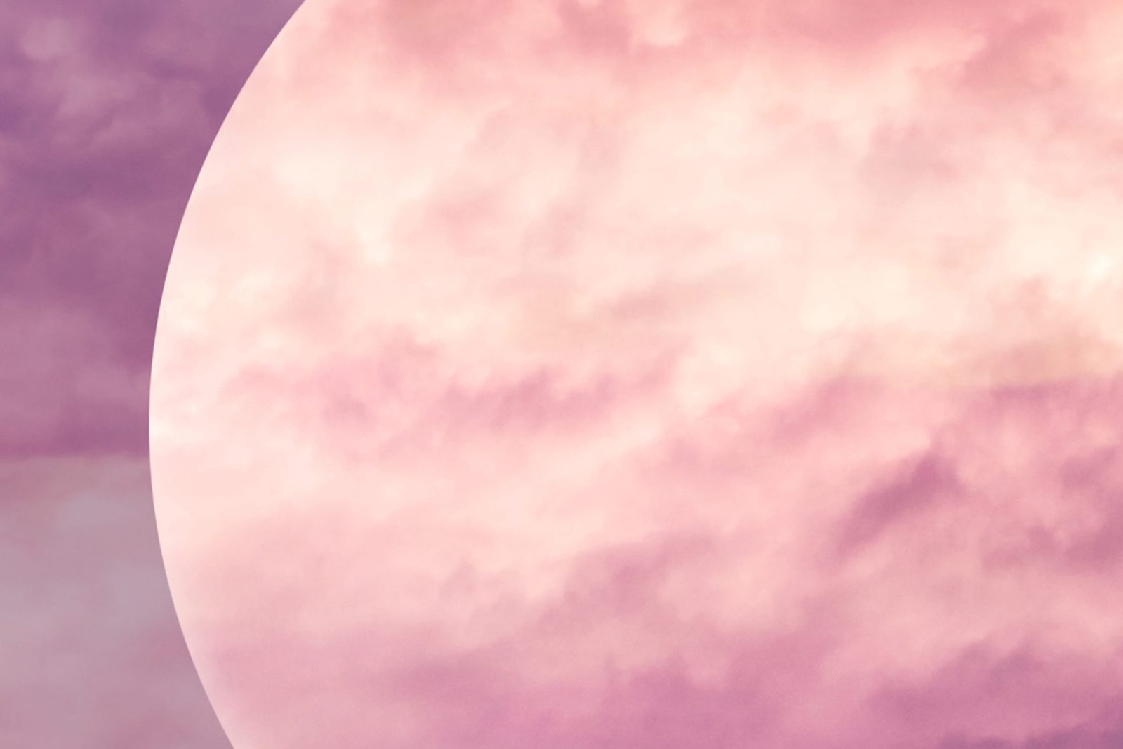 Pink Moon, Rebel Walls 3