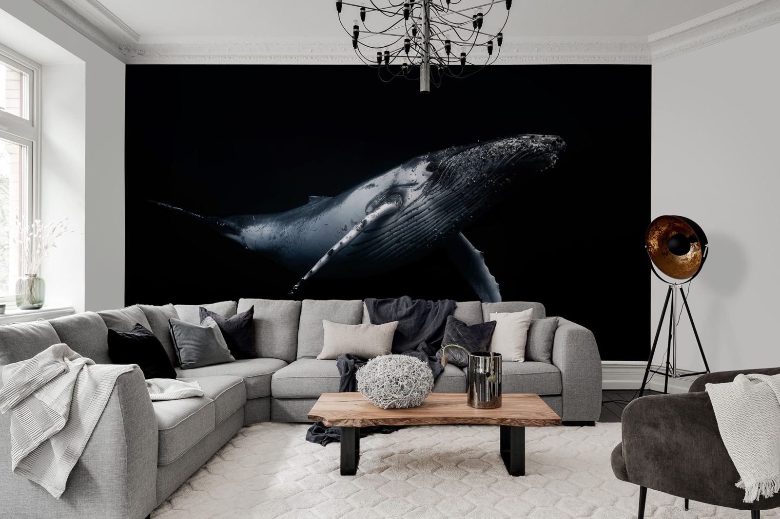 Black Whale, Rebel Walls 2