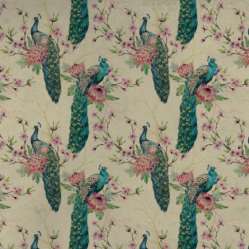 Pea Fowl, VLAdiLA
