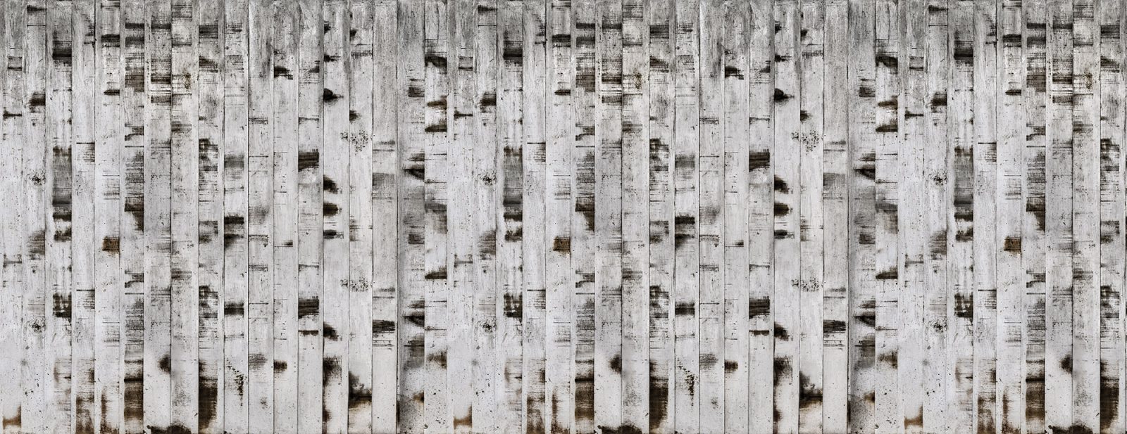 Metal Birch, Rebel Walls