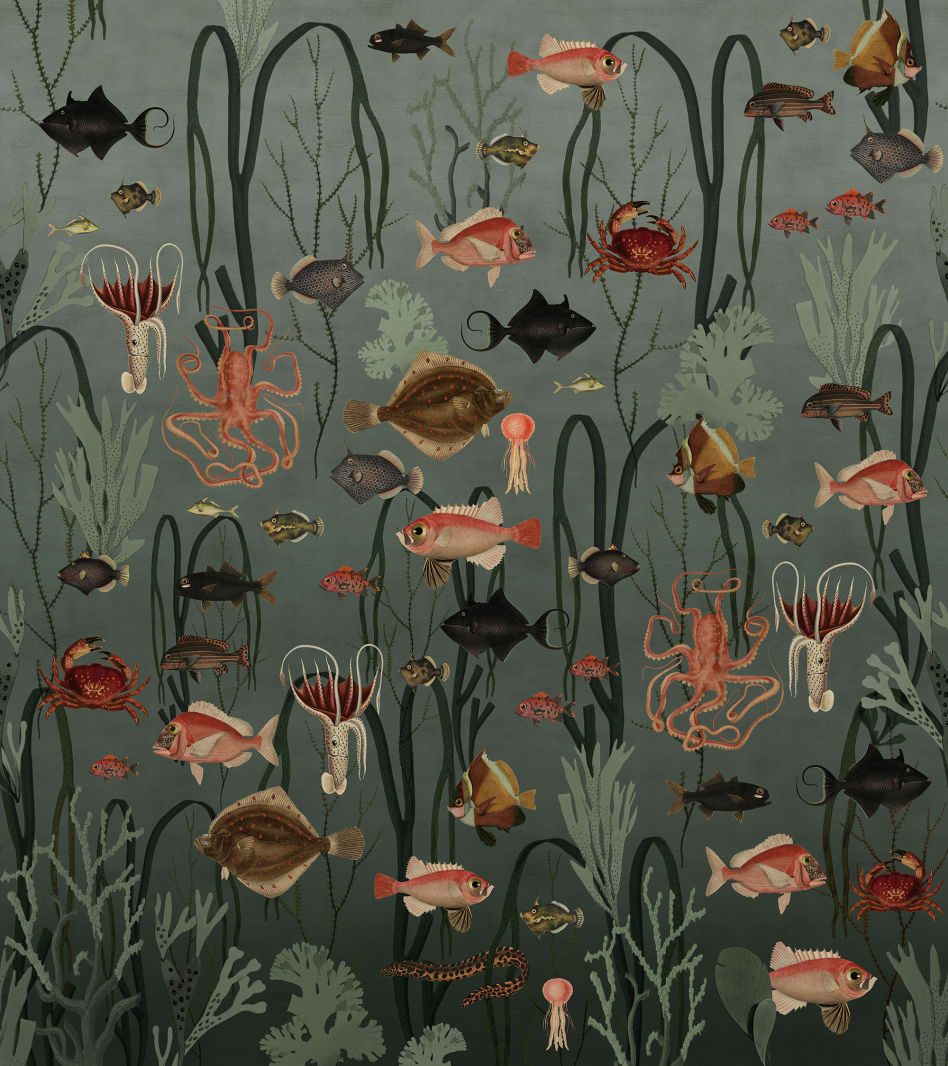 Aquatic Life, Oxygen, Rebel Walls