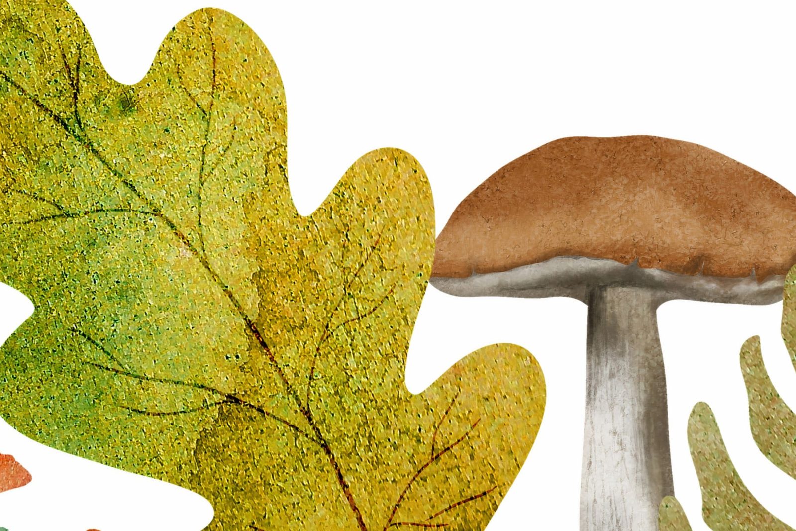 Autumn Meadow, Rainbow, Rebel Walls 4