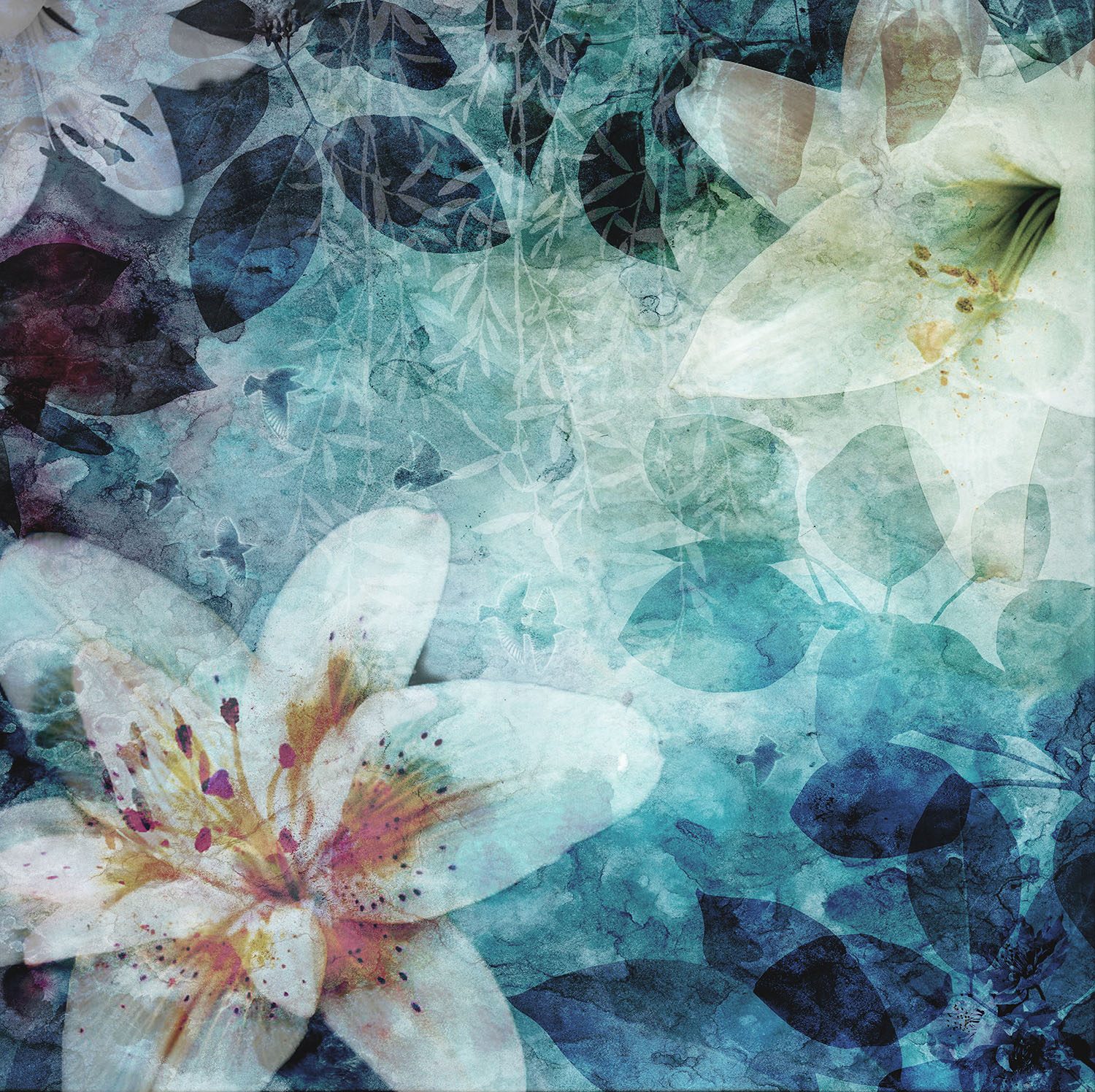 Garden of Dreams, Rebel Walls