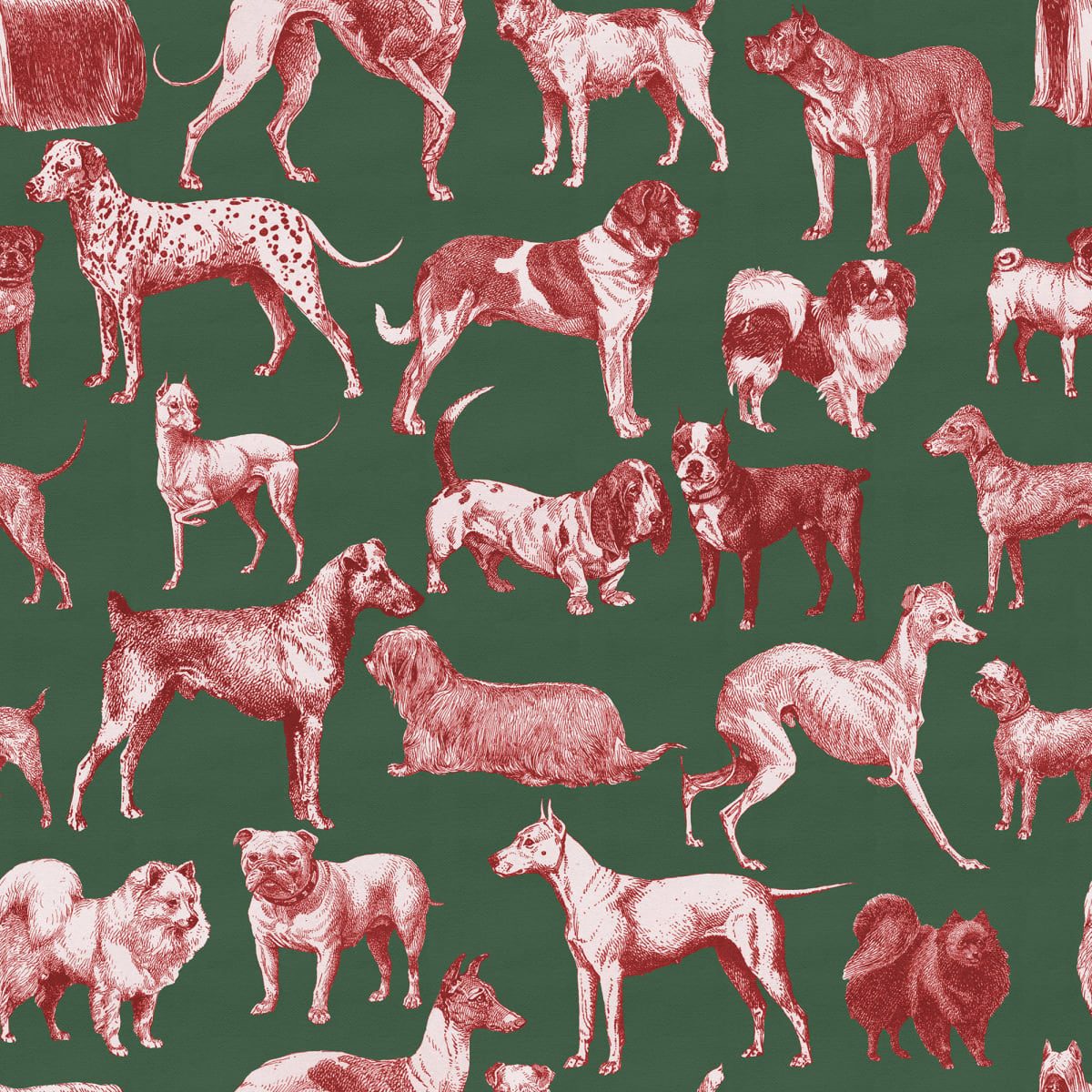 Dogs, Red Tan, Rebel Walls