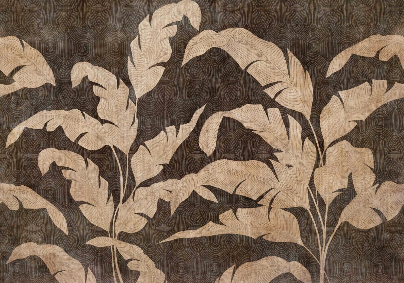 Leaves Shadow, Night, Coordonne