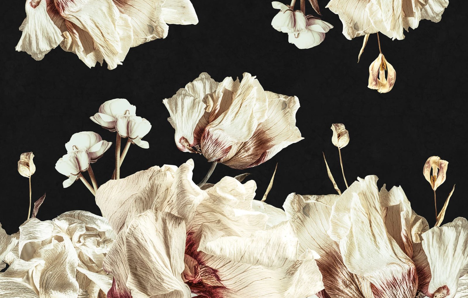 Dried Bouquet, Dark, Rebel Walls