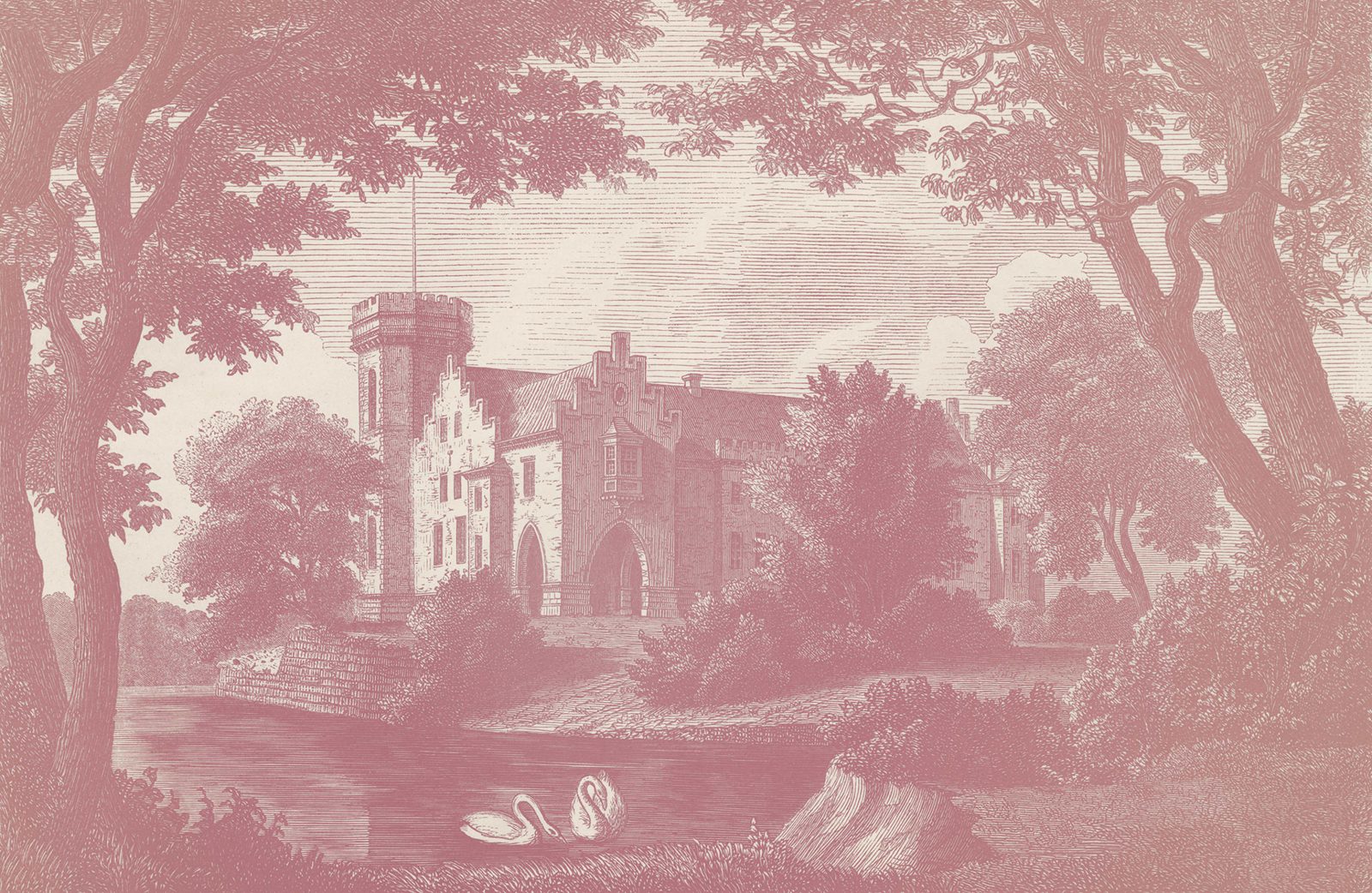 Swan Pond, Dusty Pink, Rebel Walls