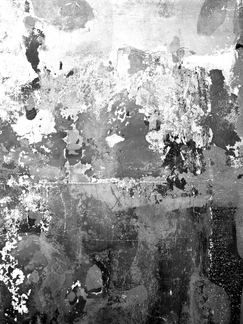Charcoal, Rebel Walls