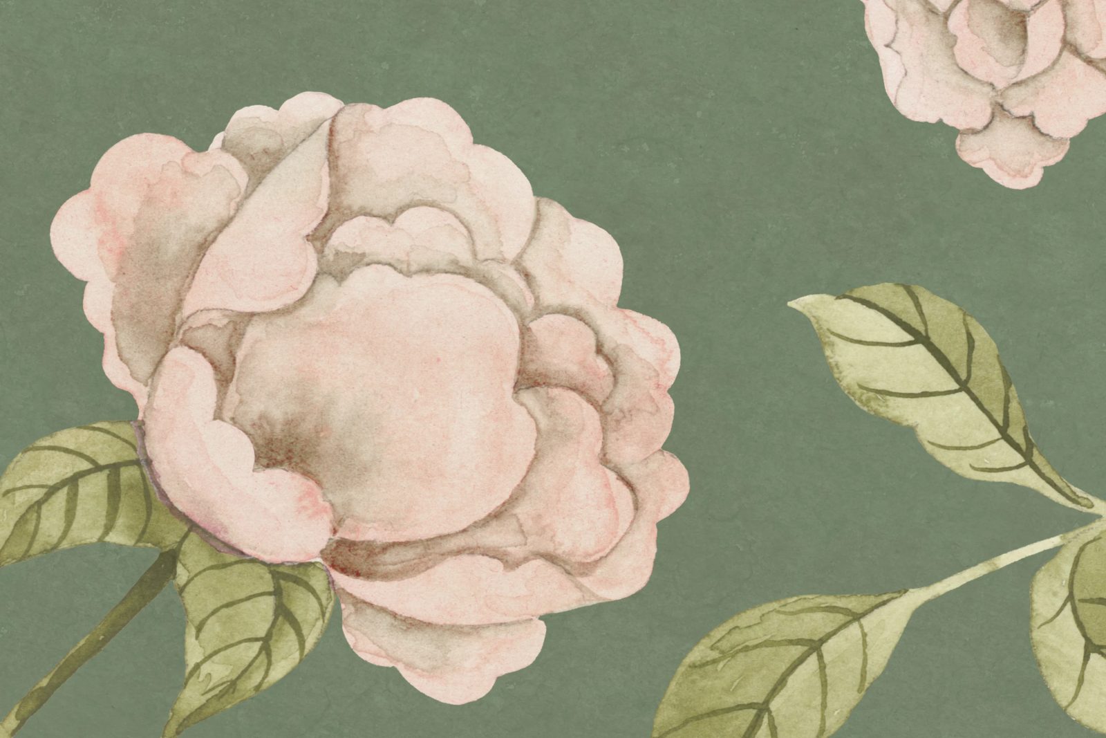Peony Bloom, Green, Rebel Walls 4