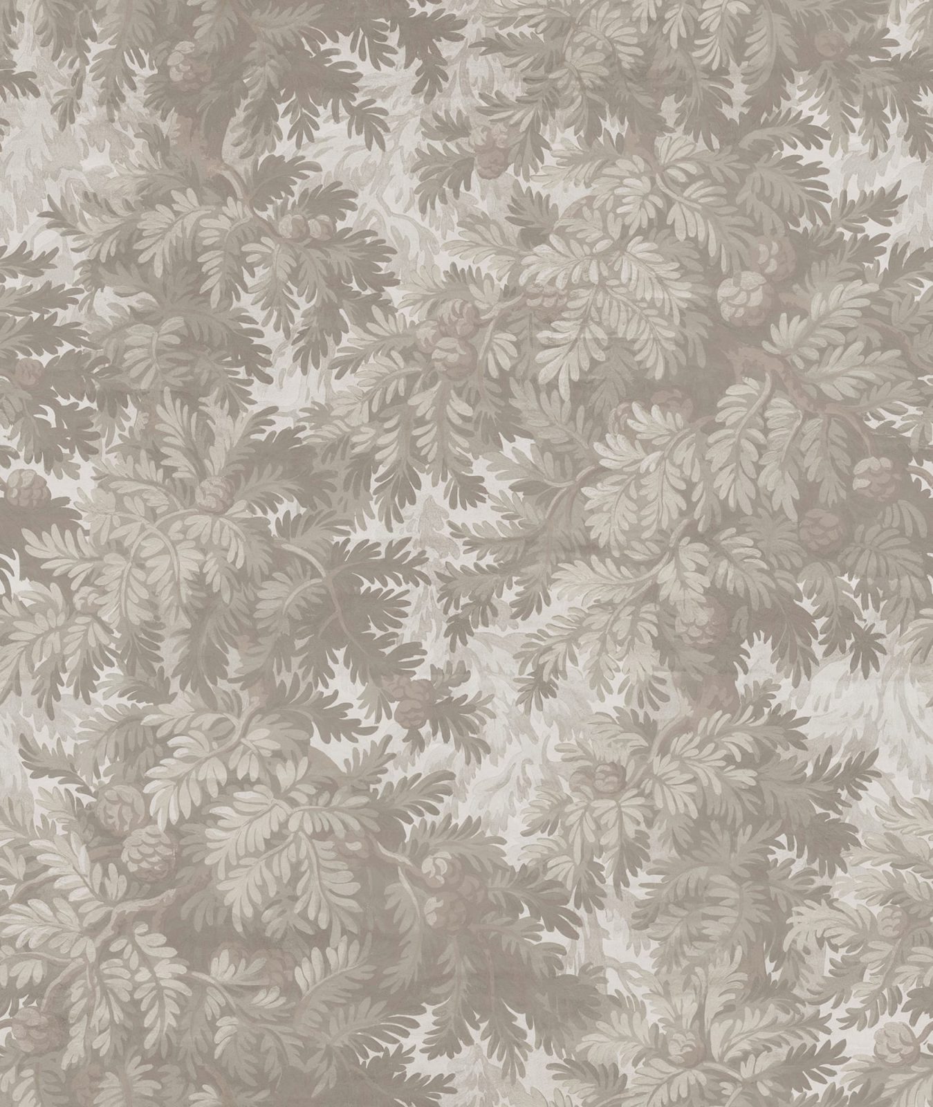 Spruce Forest, Sand, Rebel Walls