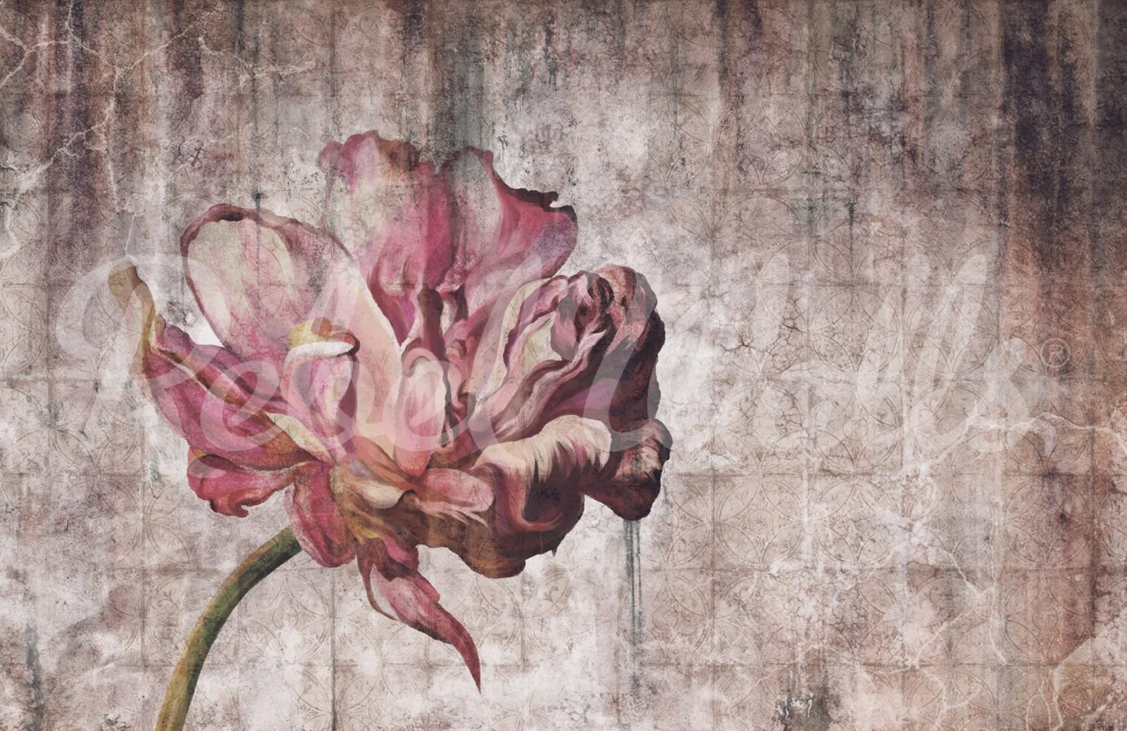 Vintage Tulip, Rebel Walls