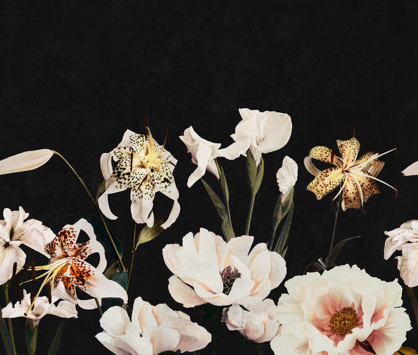 Dramatic Bouquet, Black, Rebel Walls
