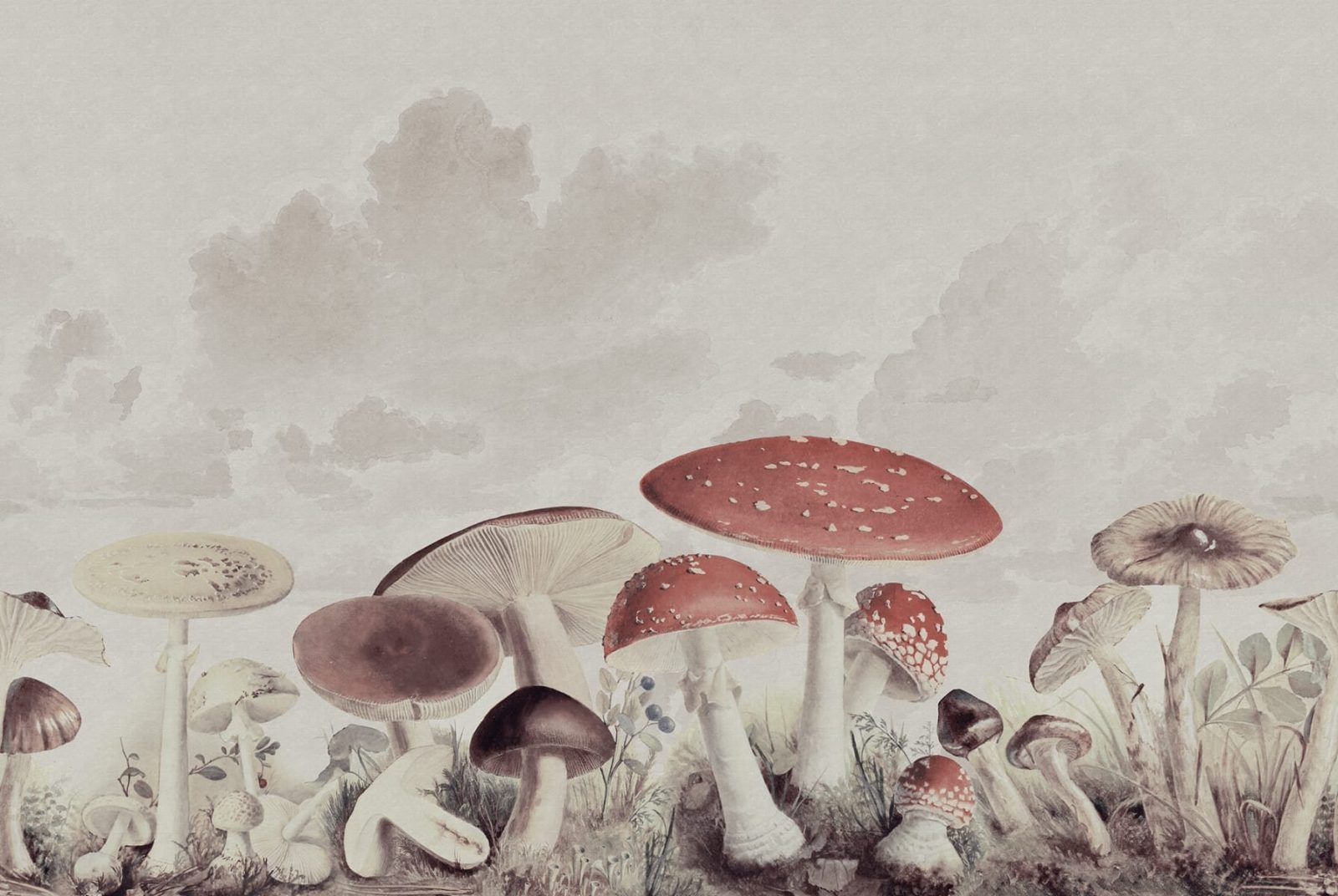 Mushrooms, Vintage, Rebel Walls