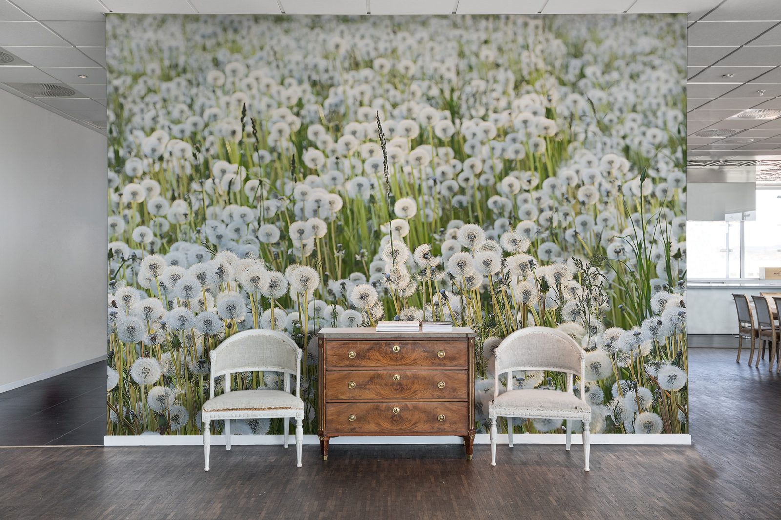 Dandelions, Rebel Walls 3