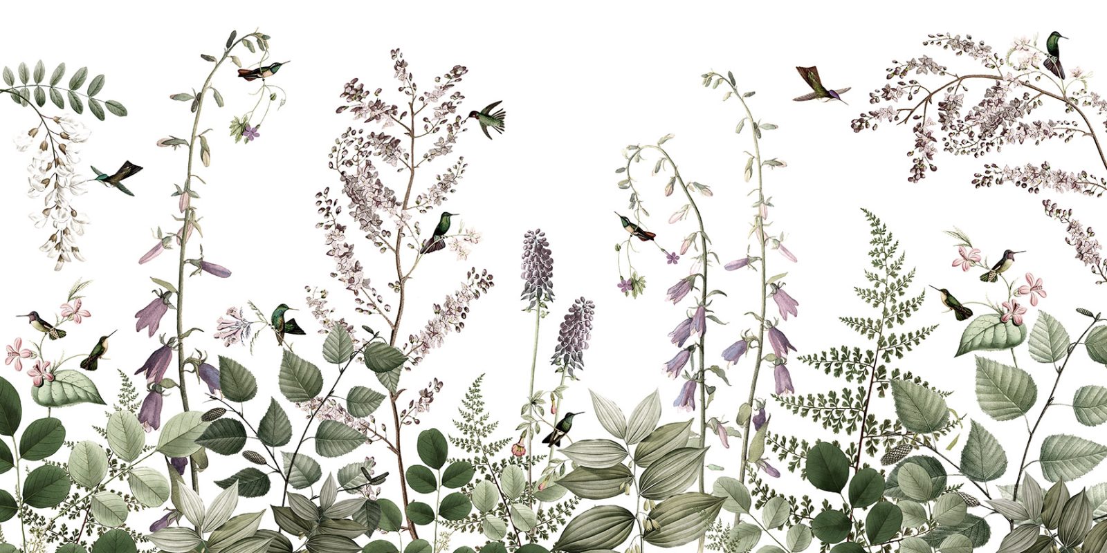 Hummingbird Hedge, Kikki Belle