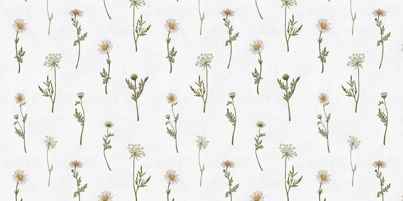 Dreamy Daisies, Kikki Belle
