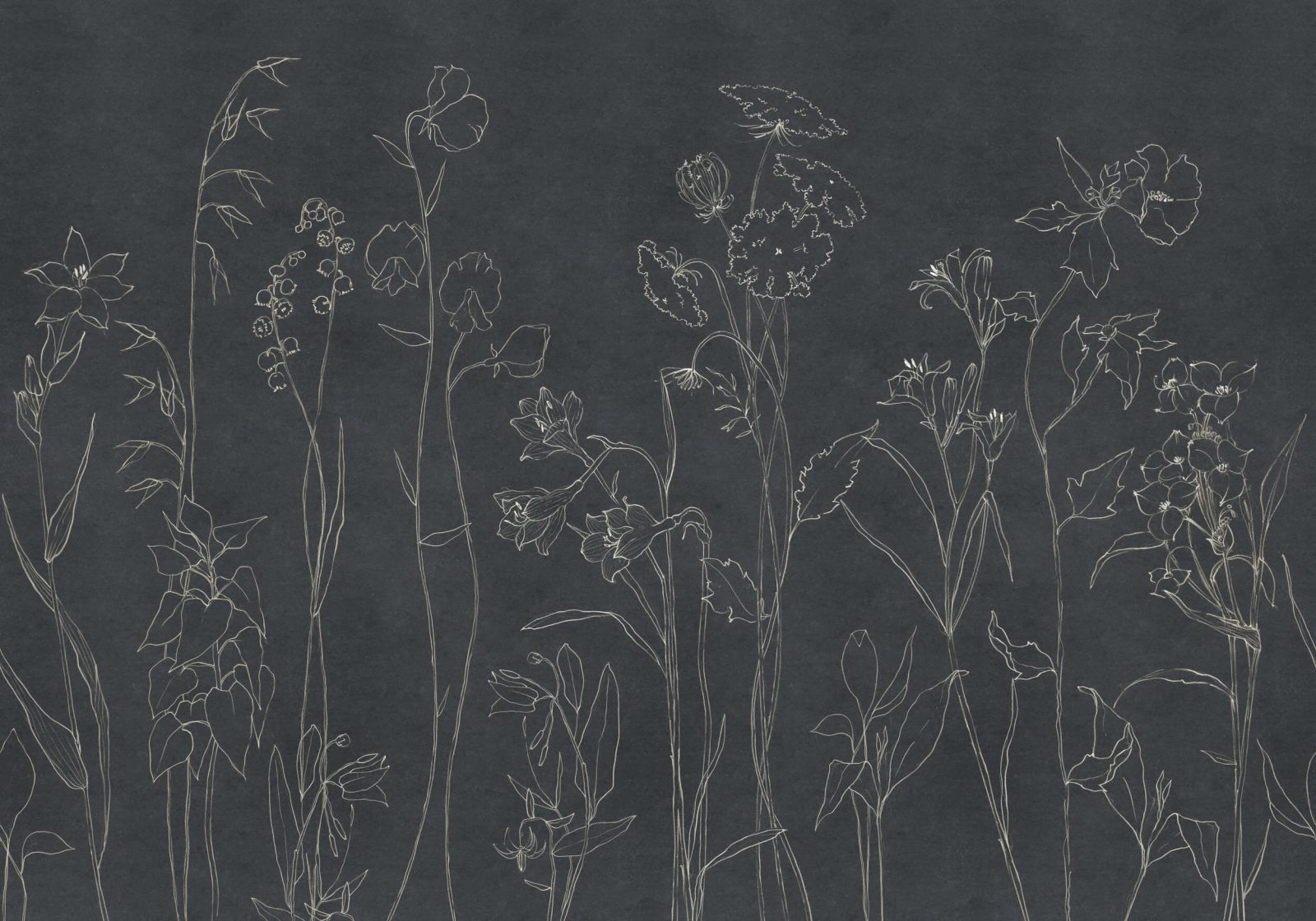 Countryside, Black, Coordonne