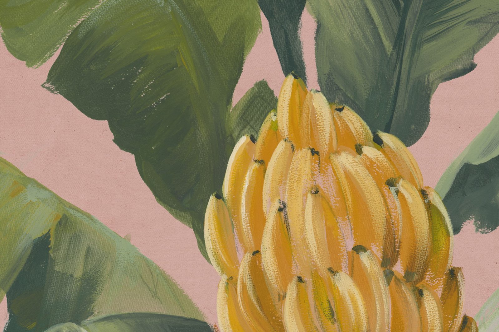 Banana Leaf, Pink, Rebel Walls 4