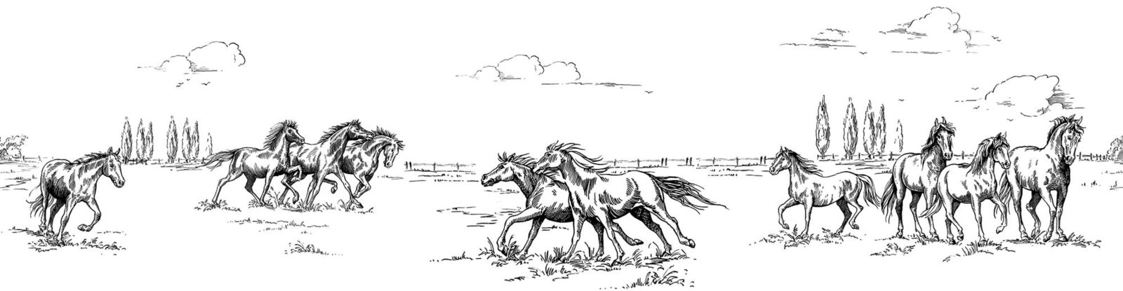 Horses Herd Grand, Black, Rebel Walls