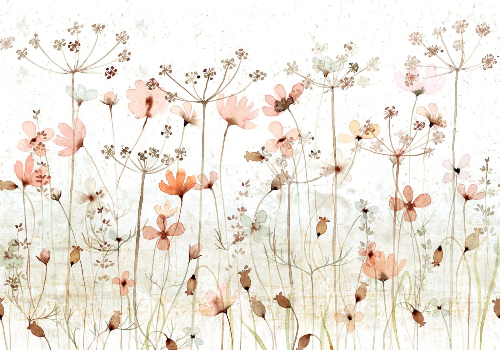 Dreamy Meadow, Red, Rebel Walls