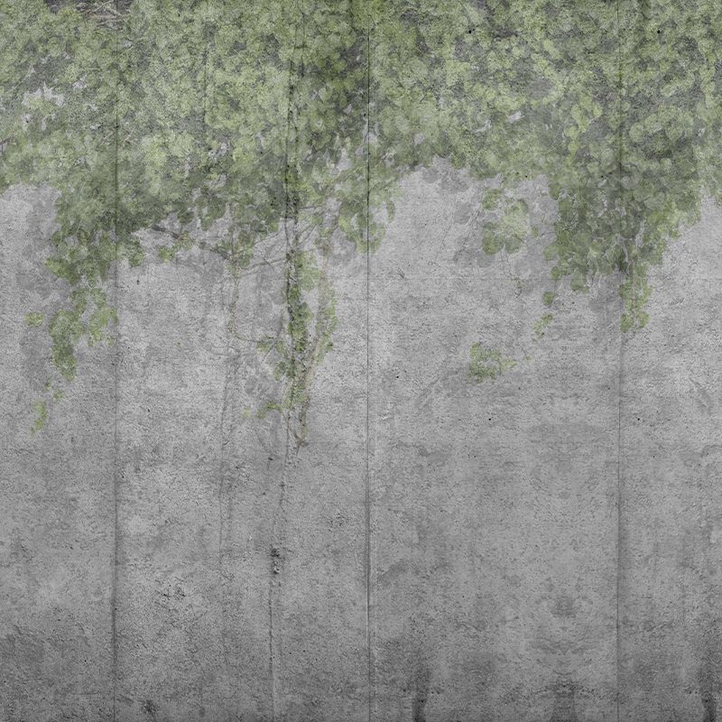 Concrete Vine, VLAdiLA 3