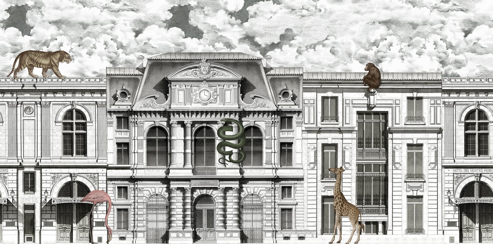 Animal Avenue, Rebel Walls