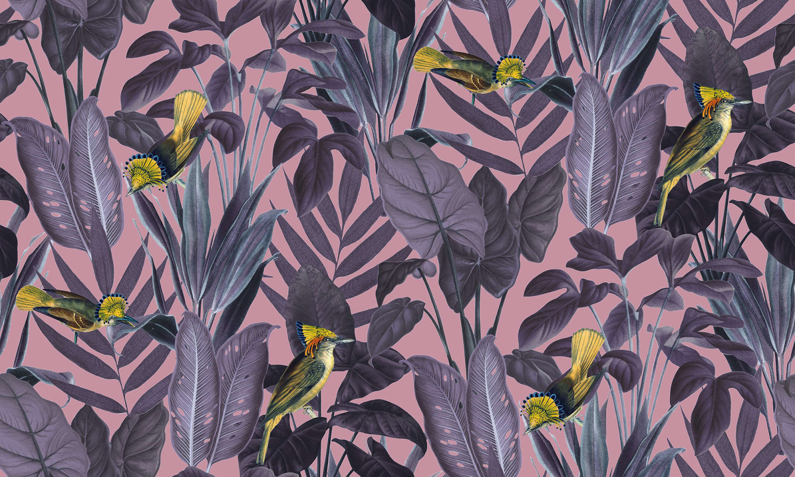 Yellow Bird, Dusk, Rebel Walls