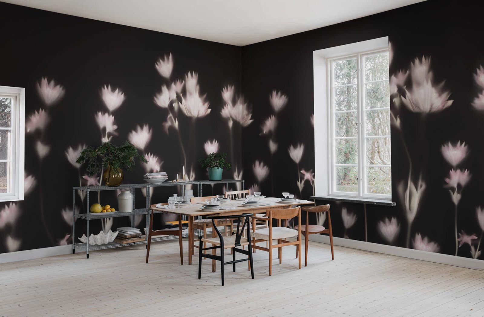 Astrantia, Dark, Rebel Walls 2