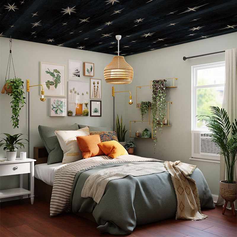 Stars Black, VLAdiLA 3