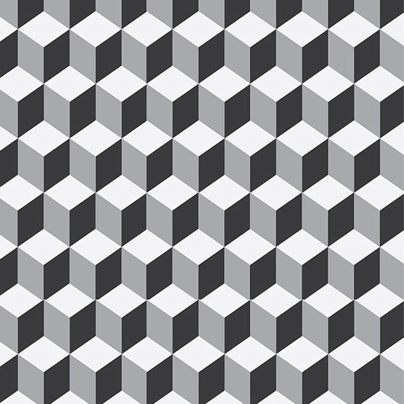 Black and White Cube, VLAdiLA