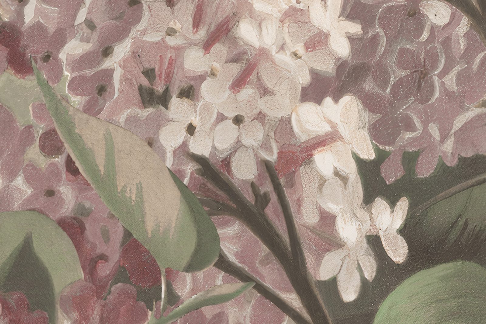 Syringa Flowers, Pink, Rebel Walls 4