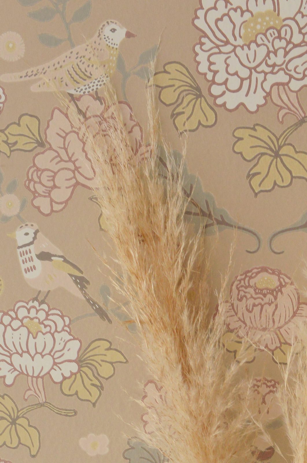 June, Honey Beige, Majvillan 6